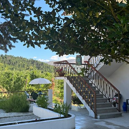 Villa Casa Vicente Lamego Exterior foto