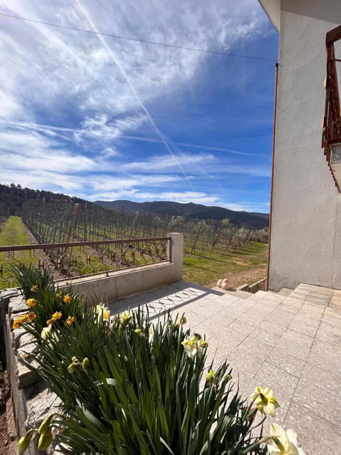 Villa Casa Vicente Lamego Exterior foto