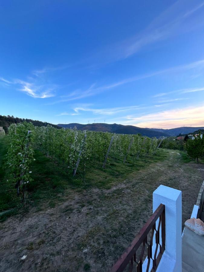 Villa Casa Vicente Lamego Exterior foto