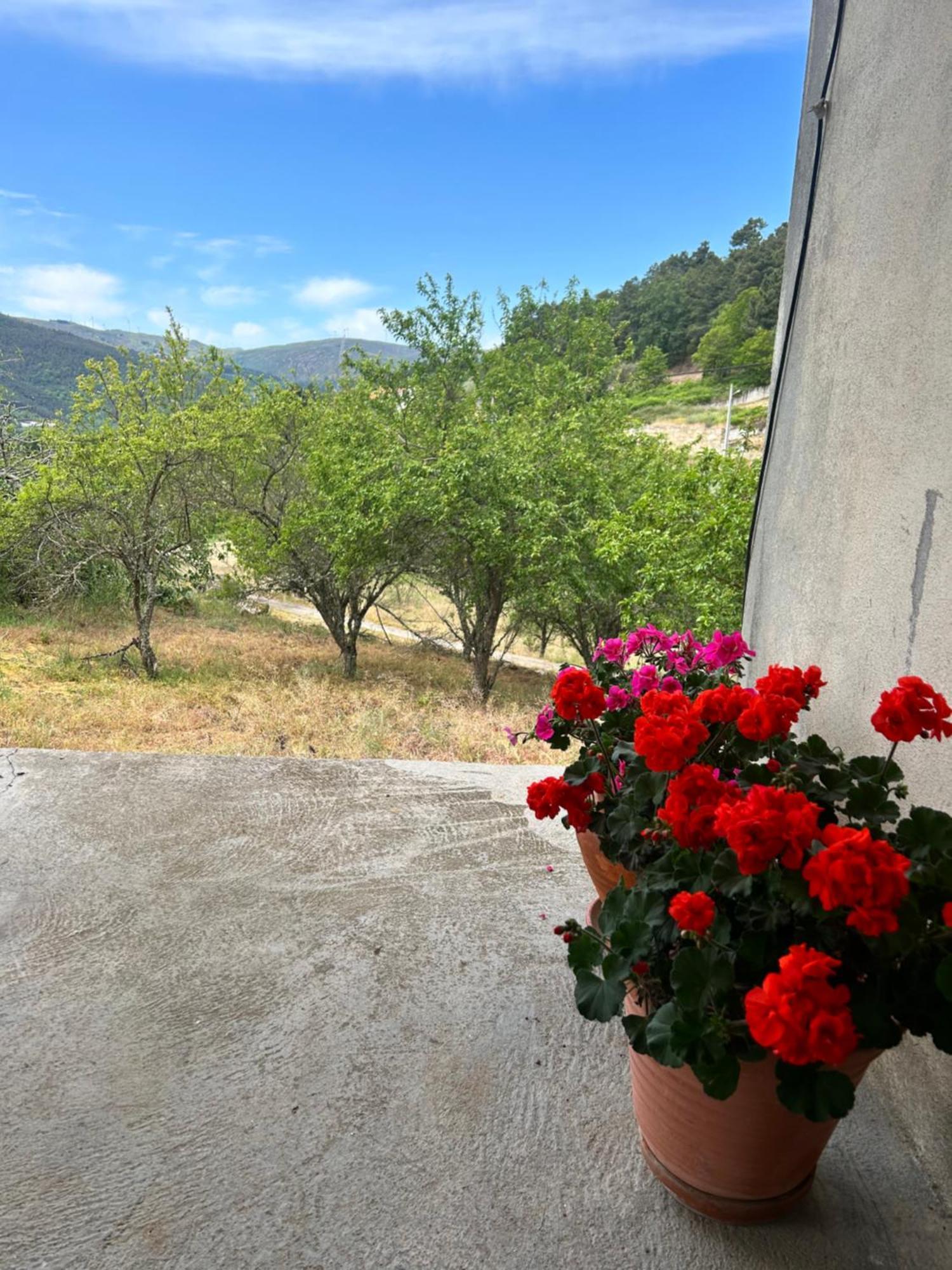 Villa Casa Vicente Lamego Exterior foto