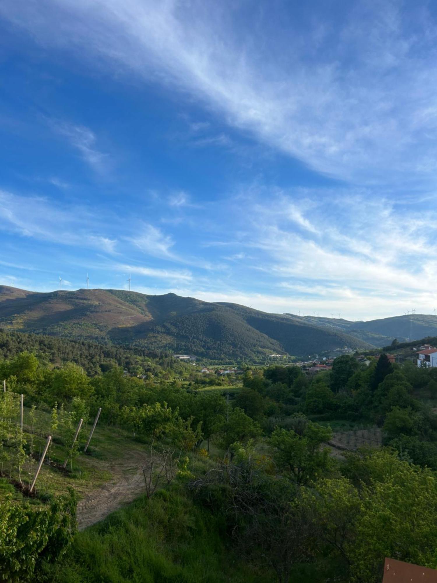 Villa Casa Vicente Lamego Exterior foto