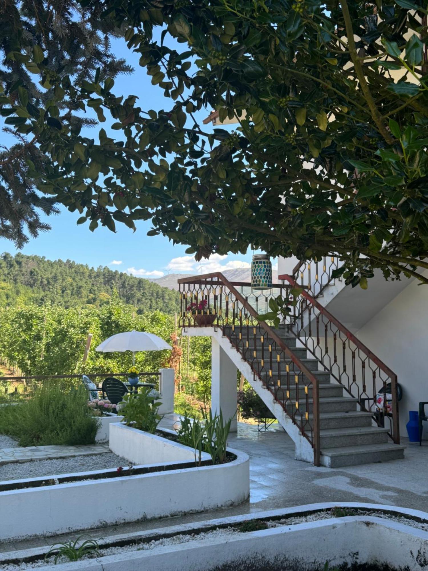 Villa Casa Vicente Lamego Exterior foto