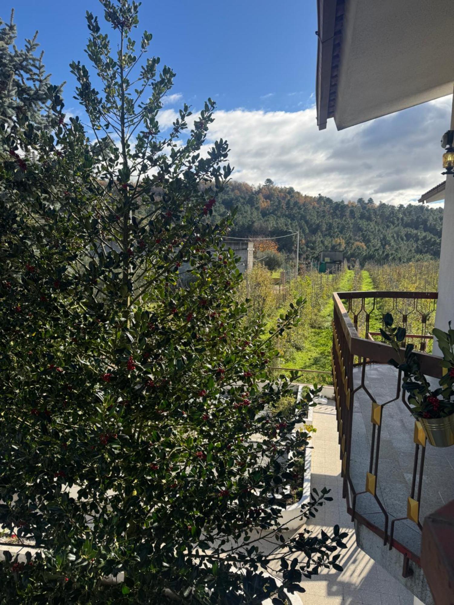 Villa Casa Vicente Lamego Exterior foto